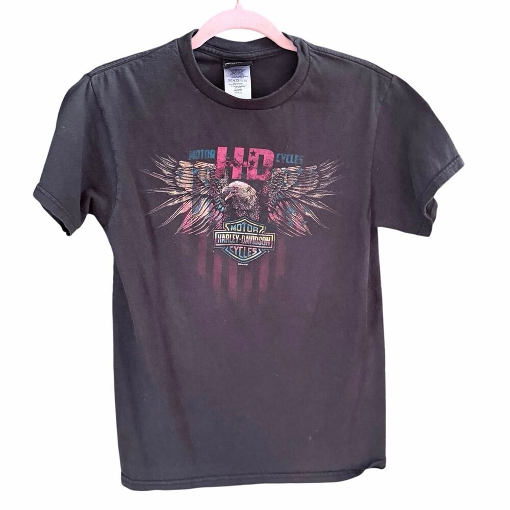 Harley Davidson Pig Trail Rogers Arkansas Graphic TShirt Faded Black Small biker